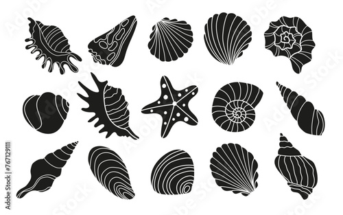 Set of various sea shells and starfish .Vector black and white silhouettes.