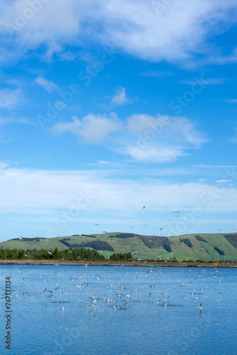 "Flock of seagulls by a lake in the Azores with wind turbines in the background. Captures the natural beauty and sustainable energy of the Azores."