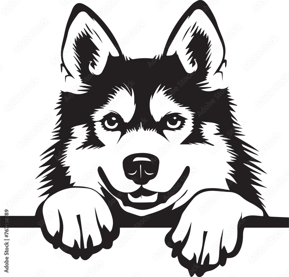 illustration of peeking siberian husky dog