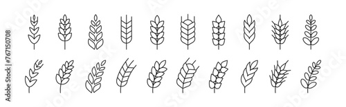 Wheat spike  grain icon set. Vector EPS 10