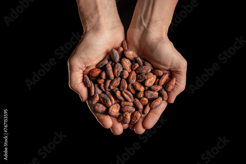 Fèves de cacao dans les mains d'un homme