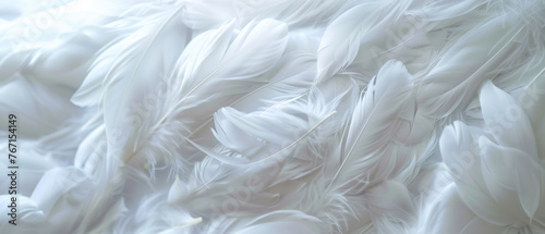 Close-up of delicate white feathers texture