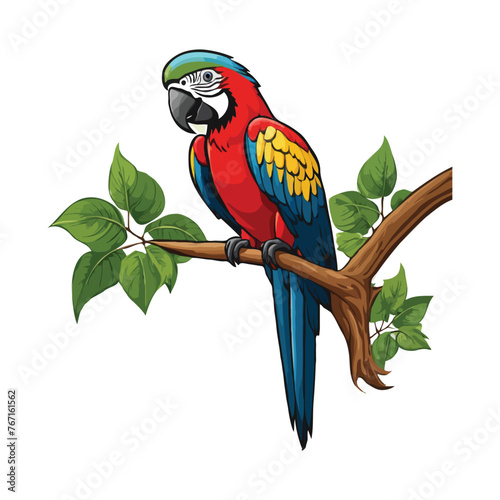 Cartoon funny macaw isolated.