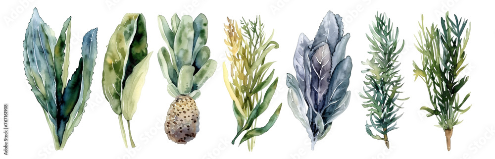 Watercolor style plant material with transparent background - obrazy, fototapety, plakaty 