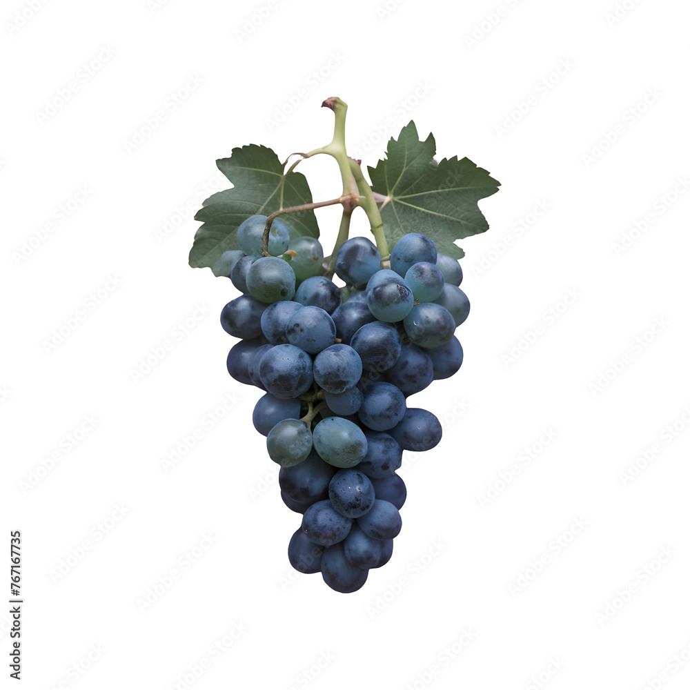 Grape fruit png isolated on transparent background