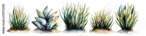 Watercolor style plant elements combination on a transparent background