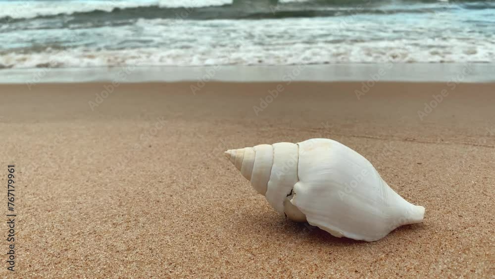 big sea shell on the sand with waves in the blurred background