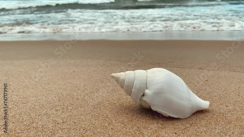 big sea shell on the sand with waves in the blurred background