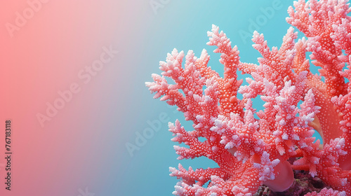 Ocean coral reef background concept. Empty space on one side.