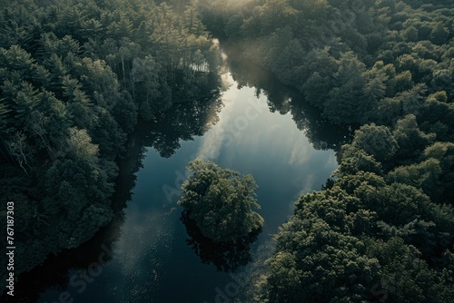A forest with a lake in the middle. The lake is calm and peaceful. The trees are tall and green