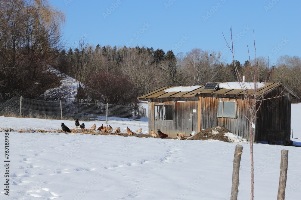 house in winter