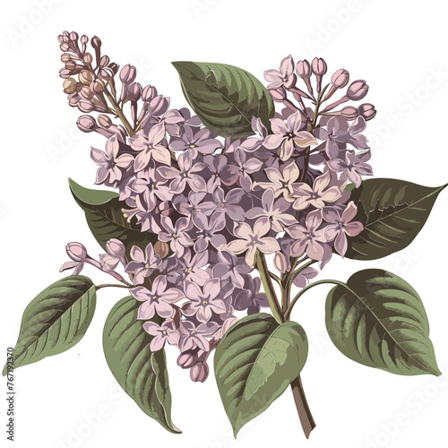 Lilac Vector Blossom Bonanza Elegant Flower Designs