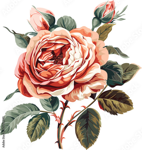 Rose Vector Blossom Bonanza Elegant Flower Designs