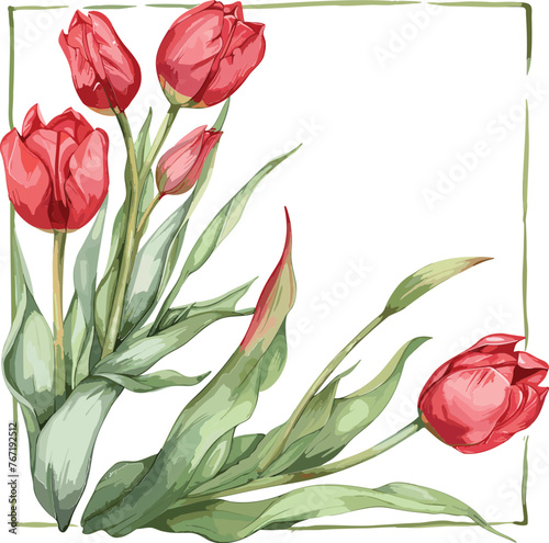 Tulip Vector Blossom Bonanza Elegant Flower Designs