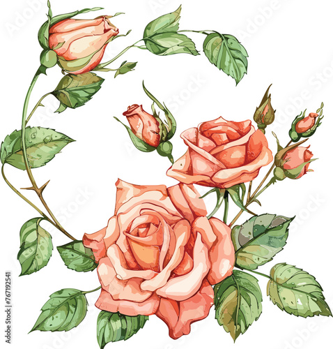 Rose Vector Blossom Bonanza Elegant Flower Designs