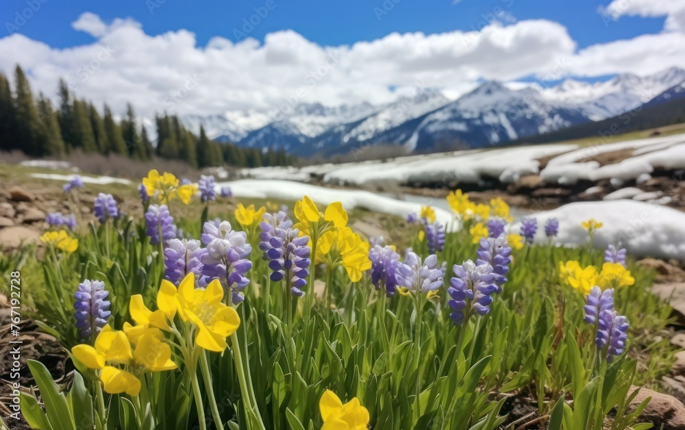 Obraz premium spring has spring in the mountain