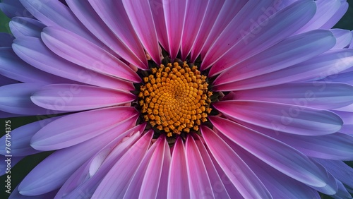 Picture Tranquil abstract closeup of floral background with macro photography