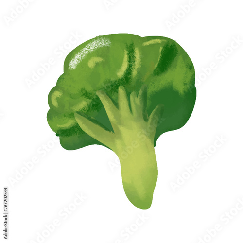 Watercolor green broccoli isolated on a white background. Vector illustration.