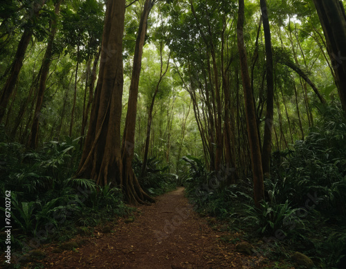 Serene Forest Pathway Amidst Tropical Greenery