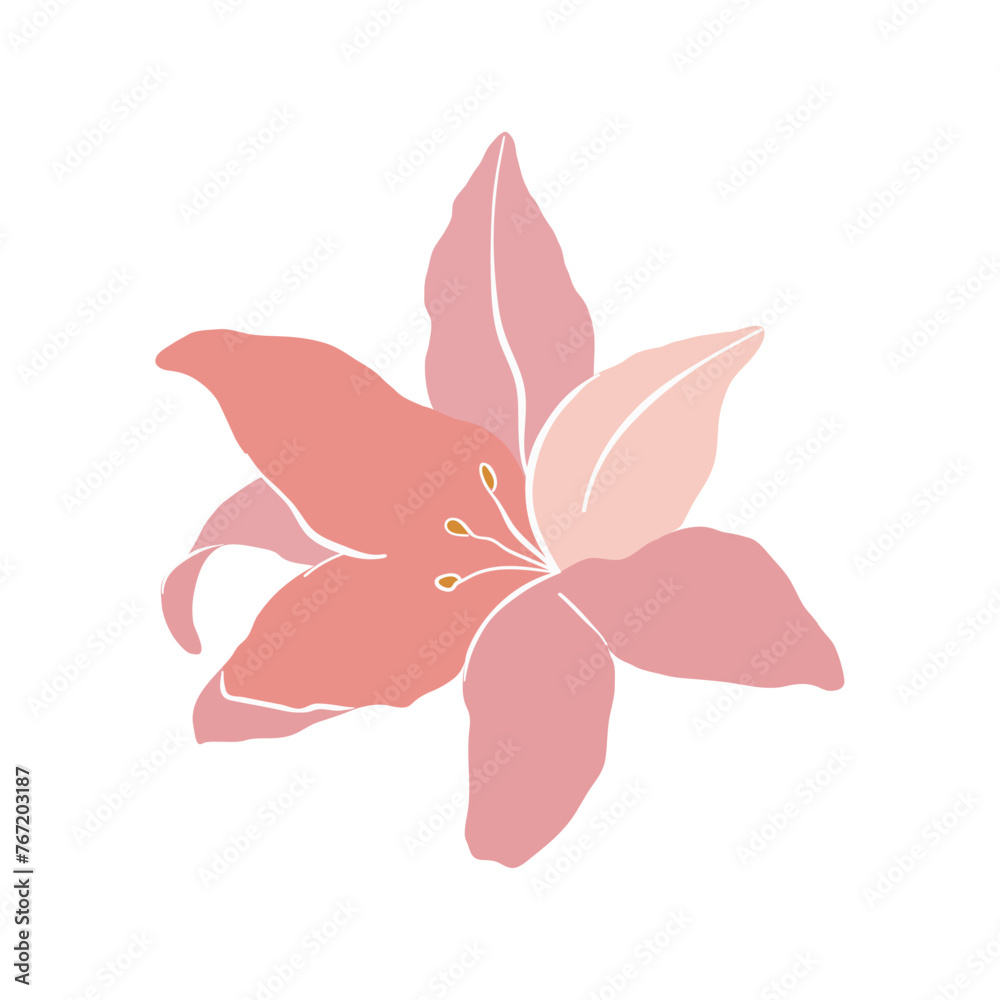 Modern abstract lily flower. Vector cute illustration on white background. Modern abstract lily flower. Vector cute illustration on white background.