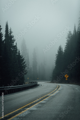 Road in Fog through Forest