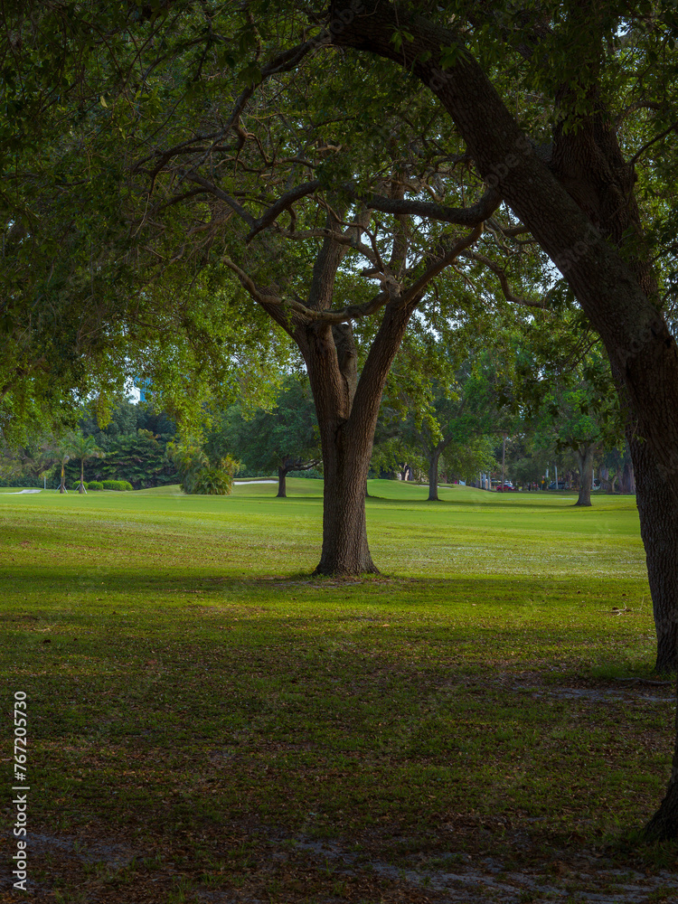 Scenic view of a lush park of Miami Springs Golf Course