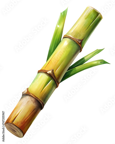 sugar cane stalk transparent background