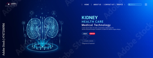 Kidney health care. Diagnose disease with technology artificial intelligence. Medical website template layout design. Banner for medical ads online social media. Science medicine business. Vector.