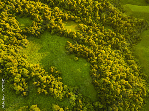 Green hills with trees and fresh green grass. Aerial top down view