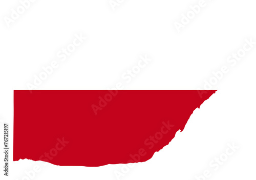Poland flag with palette knife paint brush strokes grunge texture design. Grunge brush stroke effect