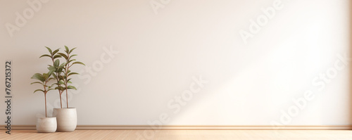 minimal space of empty room, peace and calm concept