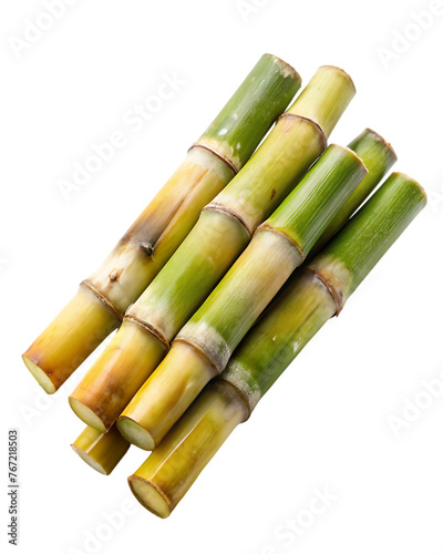 sugar cane stalk transparent background