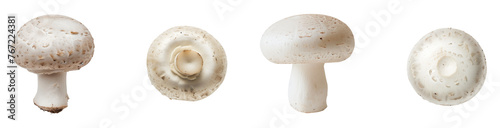 White button mushrooms isolated on transparent background cutout