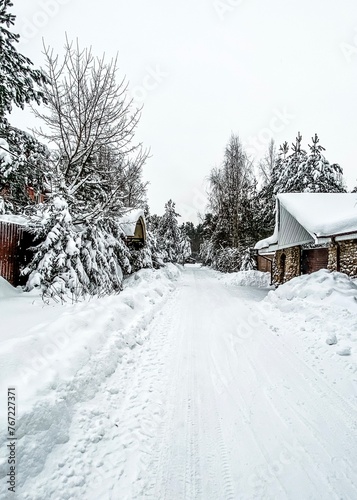 Snowy village: road, house and trees.