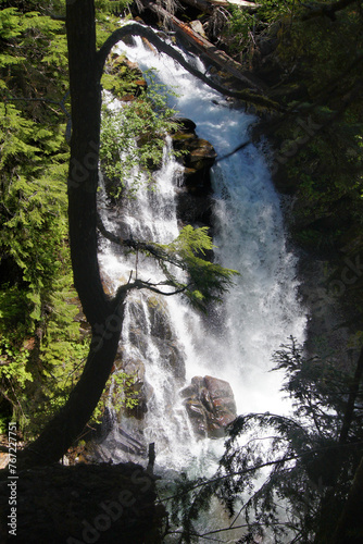 Canvas-taulu Carter falls, Mount Rainier, Pierce County, Washington State, United States