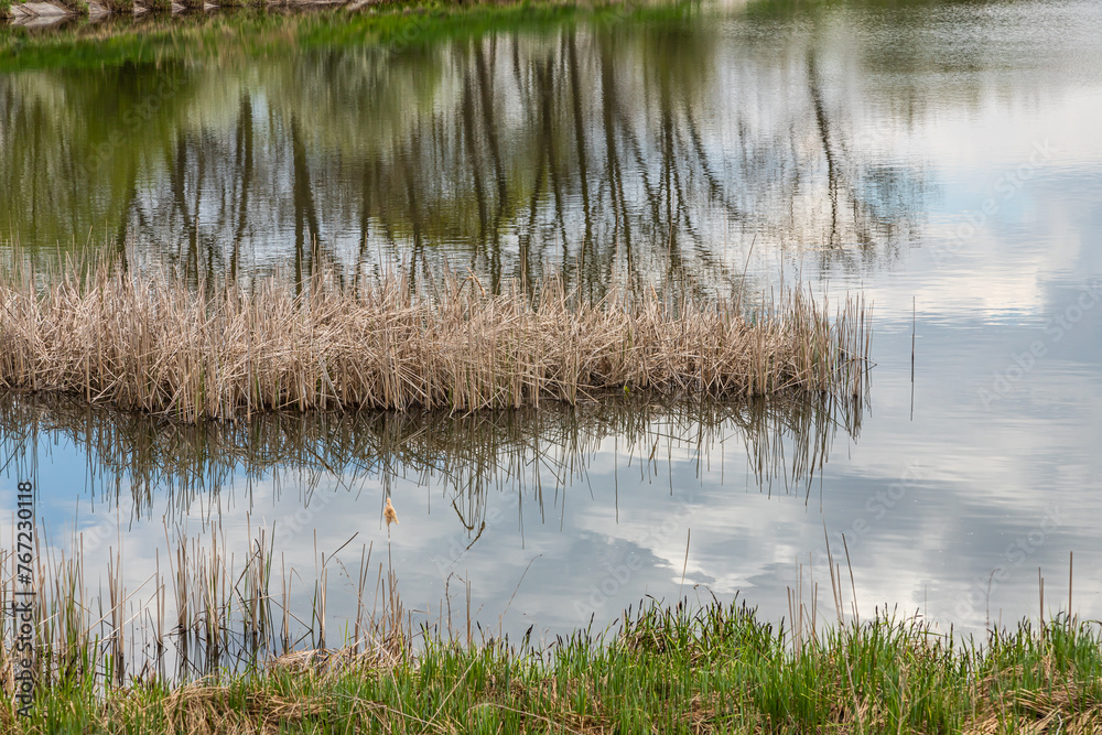 Flowers bloom in spring, blue sky and white clouds are reflected in the lake Flowers bloom in spring, blue sky and white clouds are reflected in the lake