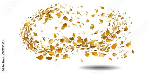 A magical vortex of leaves and petals Transparent Background Images 