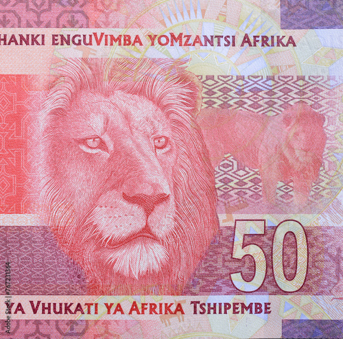 Lion portrait on Banknote of the South African