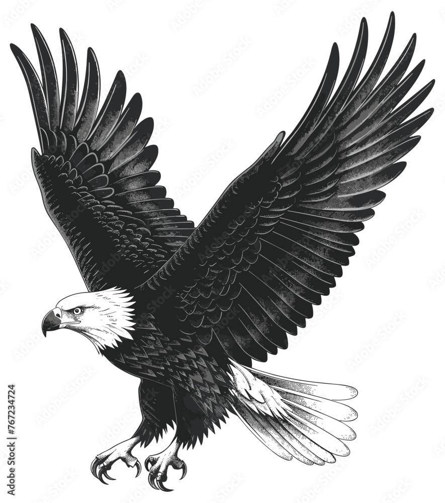 Fototapeta premium Hunting bald eagle engraving. Flying eagles bird ething, swooping hawk isolated illustration on white