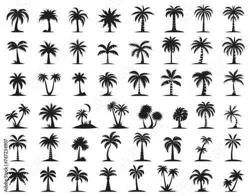 Palms trees icons. Beach palm tree bending black silhouettes isolated, coco nuts paradise plants vectorized graphics on white