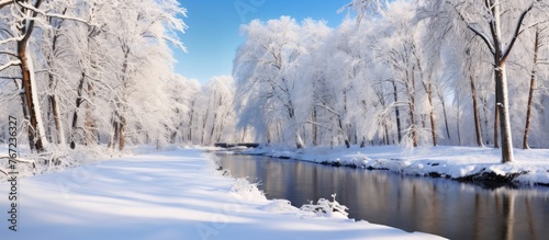 Snowy trees along river in wintry forest
