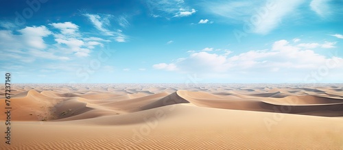 Giraffes in desert with clouded blue sky