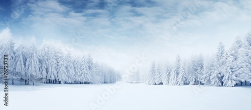 Snowy trees in a field with a blue sky © Ilgun