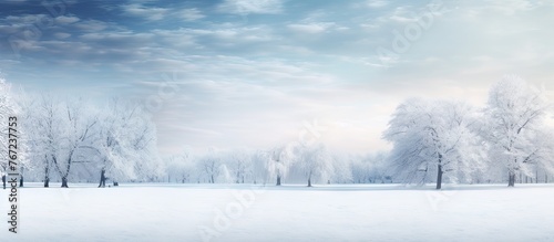 Snowy forest under cloudy sky © Ilgun