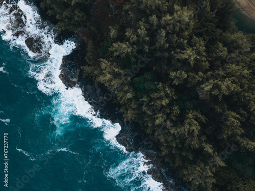 Hawaii coast from a drone