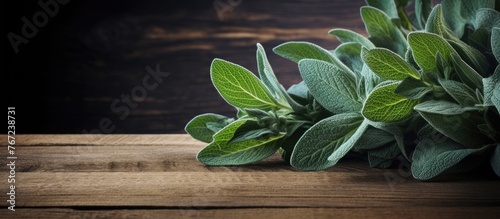 Sage leaves arranged on a wooden surface