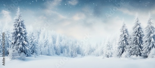 Snowy forest with trees and sky