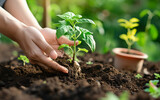 Woman Hands Holding a Sprout of Plant. Earth Day Ecology Concept.