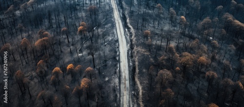 Aerial view of road in a scorched woodland