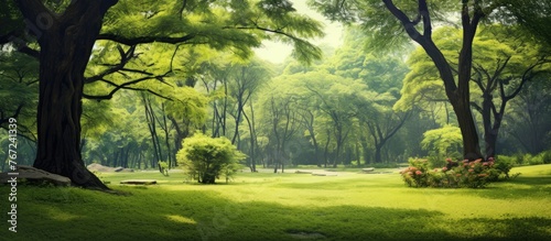 A serene park with verdant trees and a winding trail